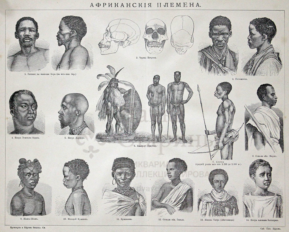 Африканское племя Изображения – скачать бесплатно на Freepik